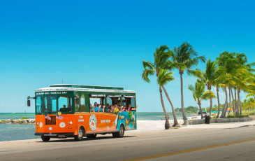Tour Image